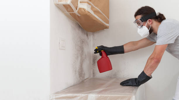 Professional Mold Testing technician working in Inwood, NY