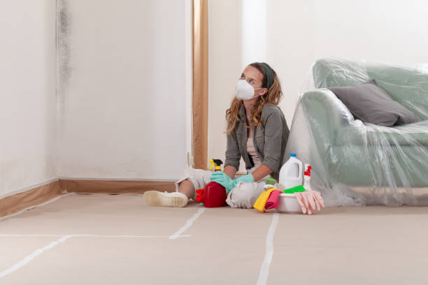 Reliable Mold Testing contractor in Inwood, NY by WQB Mold Removal